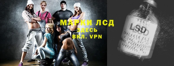 шишки Алзамай