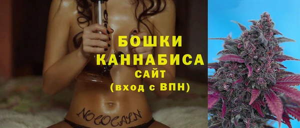 СК Аркадак