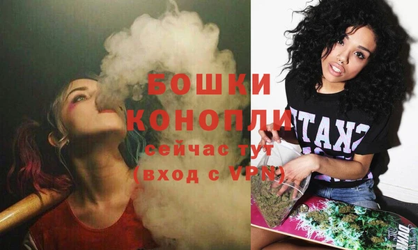 бошки Арсеньев