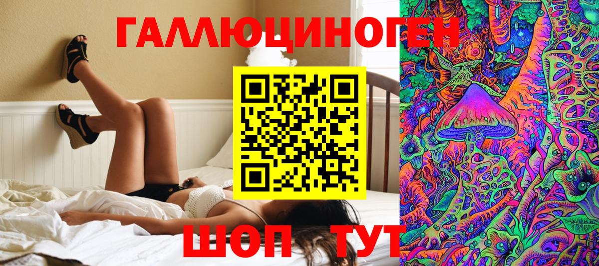 Галлюциногенные грибы Psilocybine cubensis Коломна