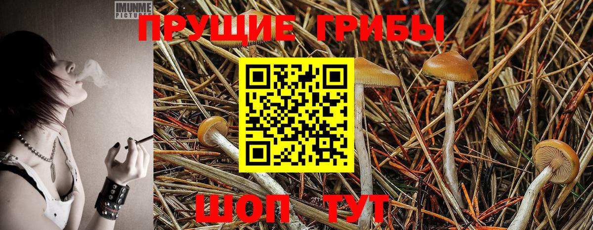 Коломна  Псилоцибиновые грибы MAGIC MUSHROOMS  Вход с VPN 